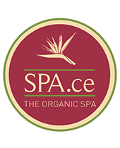 Space-the-spa-logo